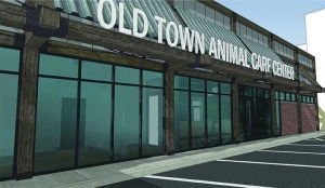 old town pet hospital
